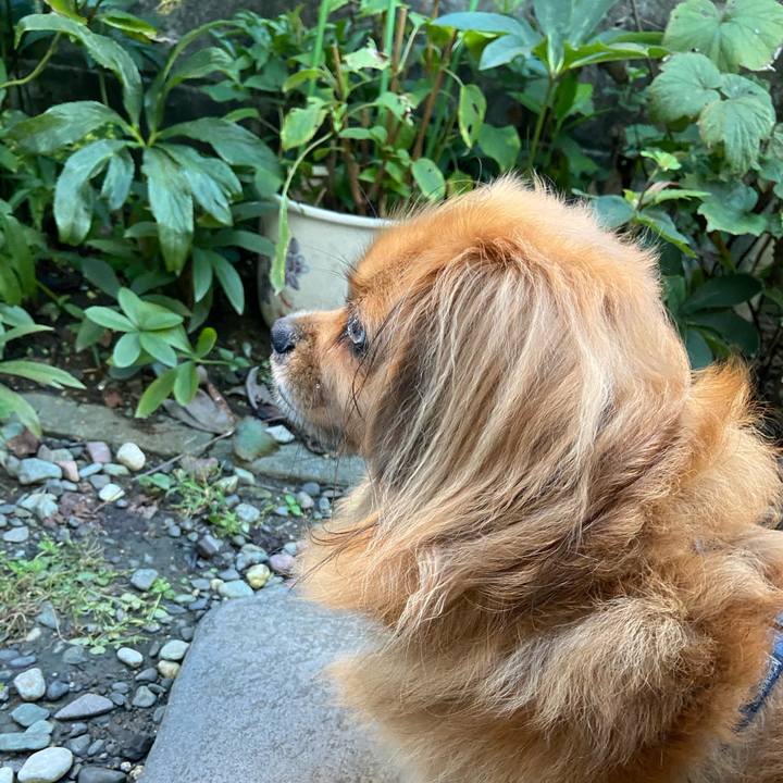 33d567c9 3ea1 4f6a 8f6b c6ca9e06a1d5 1600033156931