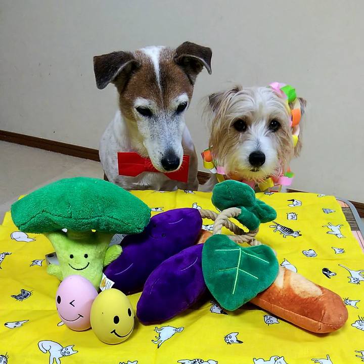 33d5bf4d 5f79 4d55 ab06 3abc2b090934 1551499121833