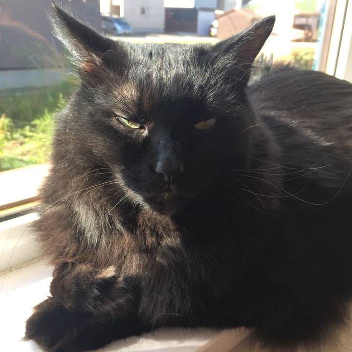 33d5de45 6d0d 4046 a897 64f1eb929ebc 1507976357896