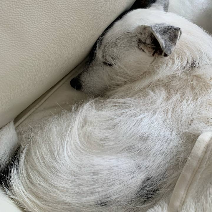 33d5f8e4 7b7d 4f2a b32d be6ddd74600d 1679964481469