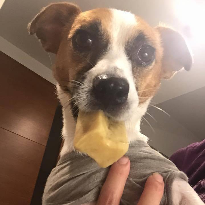 33d63e2d da7d 44d9 bfaa 5a0db8b2f223 1693624608226