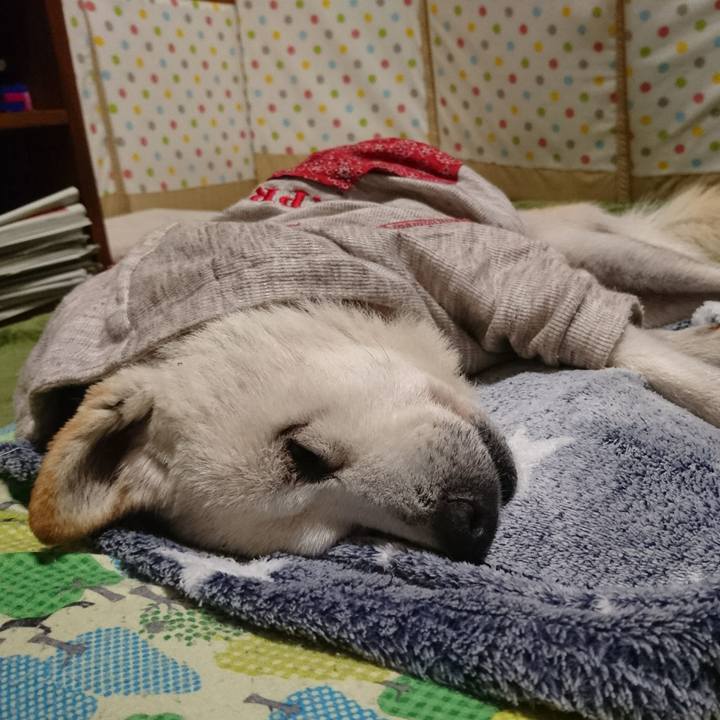 33d650cb fec4 4b9a abd9 5229e47c5fc0 1527683956743