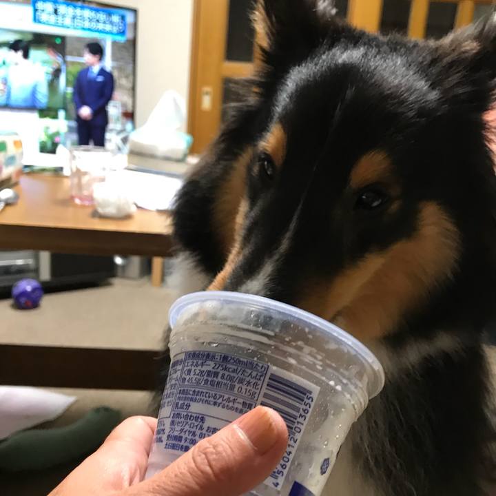 33d655dc 4d63 46fa a698 b83e503c4cd0 1532213442638