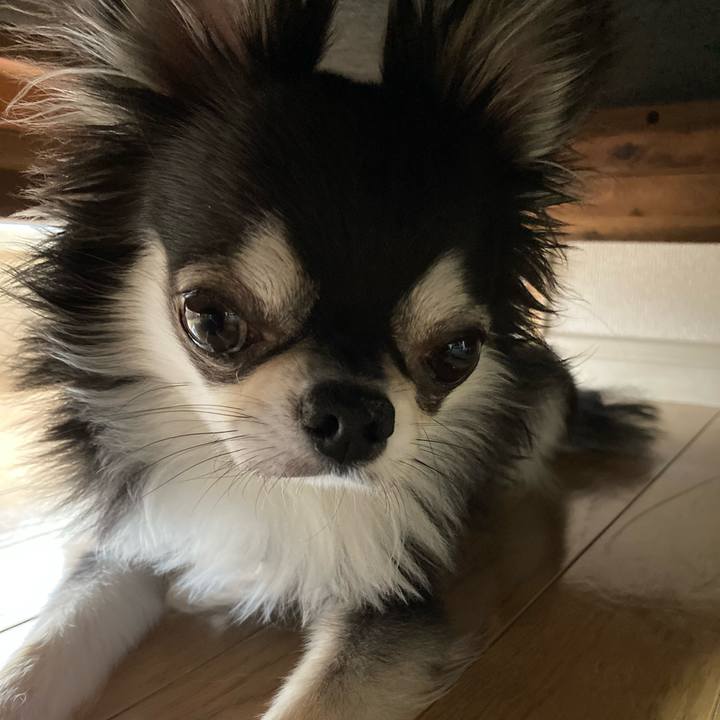 33d6567d 9726 43e8 b12e 1e2816734302 1652611382810