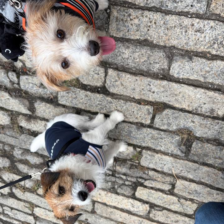 33d6614b 2707 4c87 bf73 54707fe479d3 1760336400328