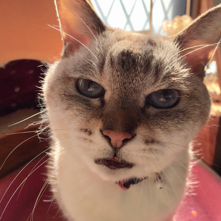 33d67a71 33d1 4c54 96c1 e637cc1d4fc1 1574226152618