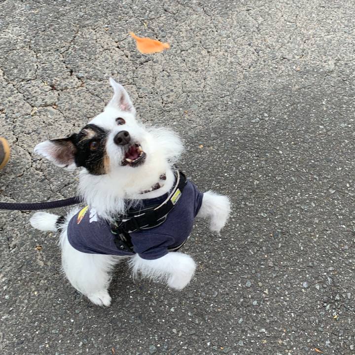 33d67af5 9265 4141 a962 a30d810d0e26 1746920304015