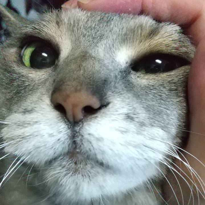 33d6dae5 9704 4f39 ad5e 94574361b637 1623844410041