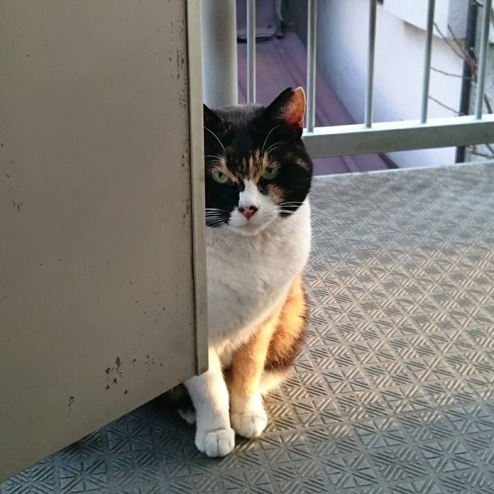 33d6ed0b 43c9 4133 af3b 407195fc9a64 1521083941870