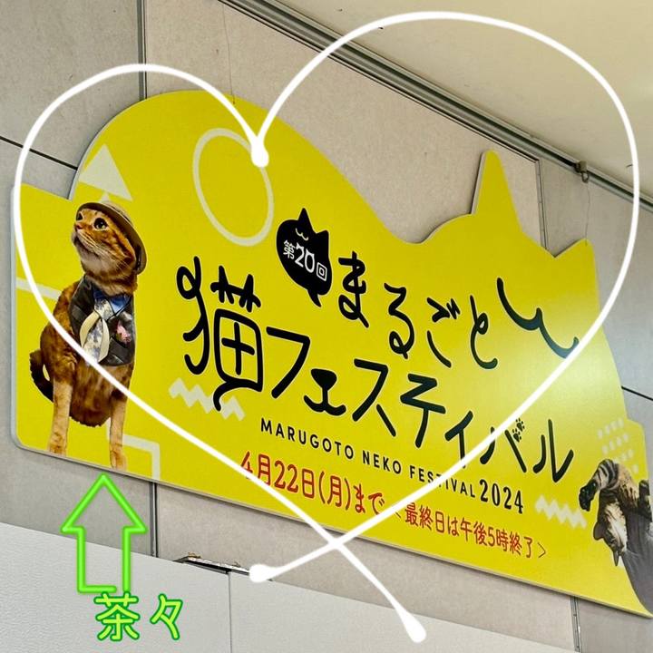 33d715dd 0a5b 4c4d 8756 a37552b9c7a5 1713610896409