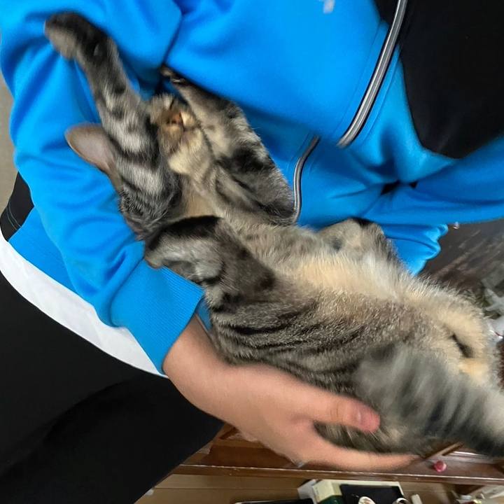 33d75236 967e 4d66 b2d8 440f2c23c215 1682434739148