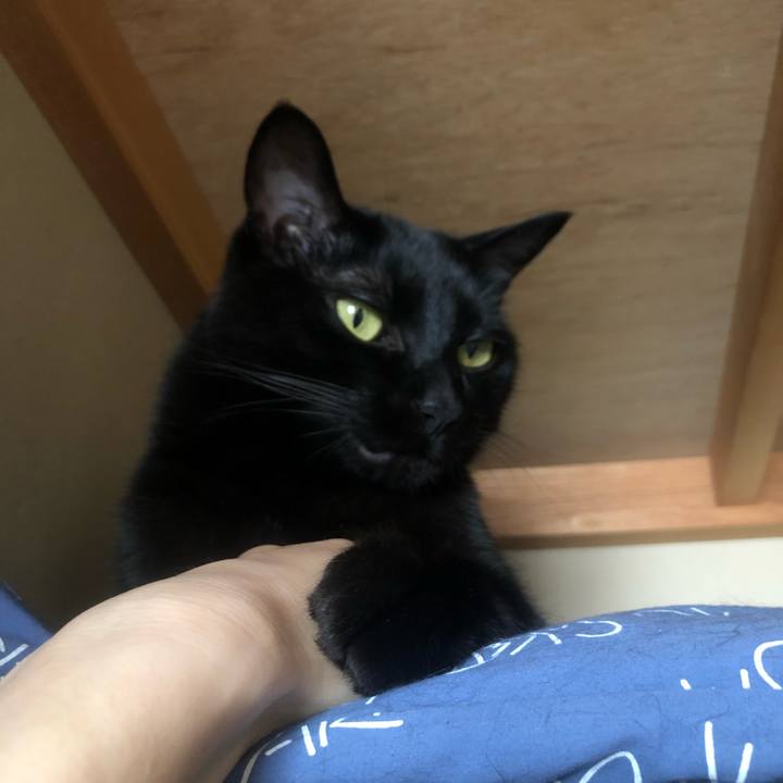 33d77b27 f7d5 4ea5 be66 d36f43ed0aae 1655169449025