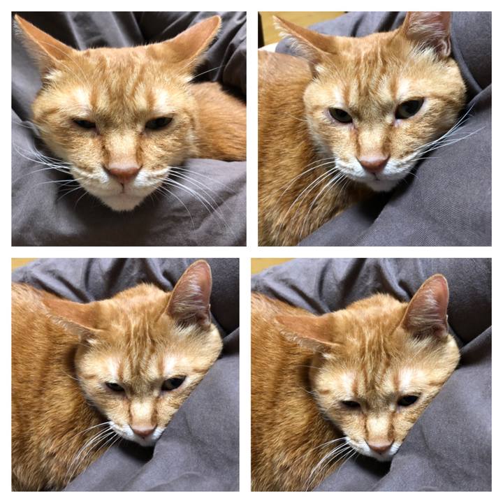 33d7807b 97d8 4e6a b6f4 917939d96c49 1636977212694