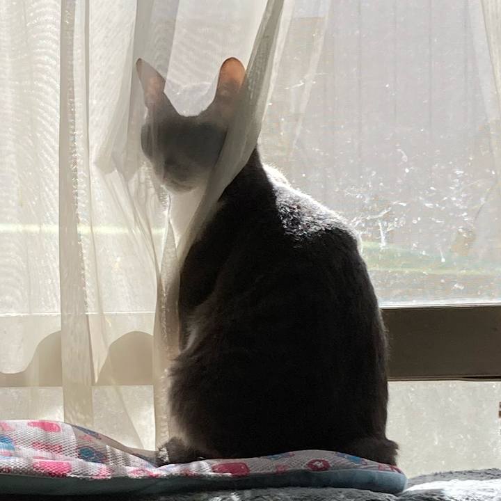 33d78f1e 6083 4b31 b304 904a74997e55 1666761616563