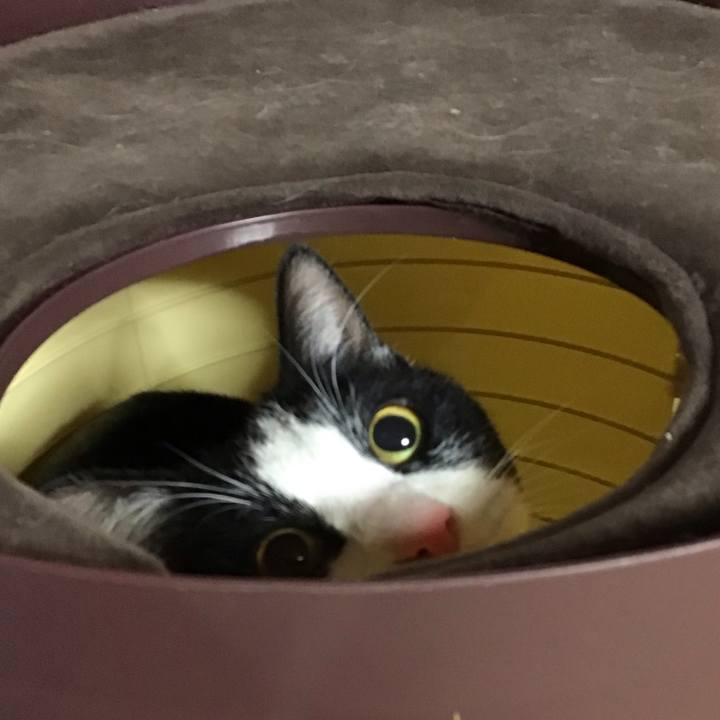 33d7c5c3 3196 43e3 a9d1 930dff31fe06 1675256742981