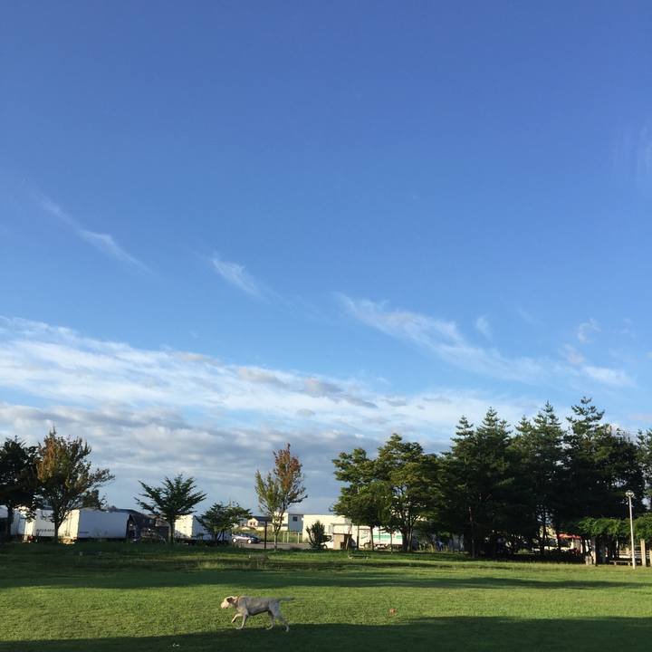 33d7d341 5500 487a b972 2f1545dc5009 1572741346035