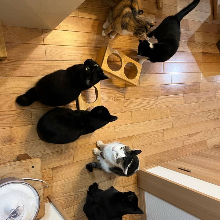 33d7d6e2 4da5 4c42 9a0b cbca2346d3e8 1645451057373