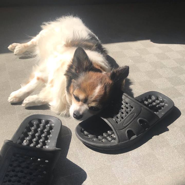 33d823e5 e2e8 417c 9a95 969c896021b0 1678929537406