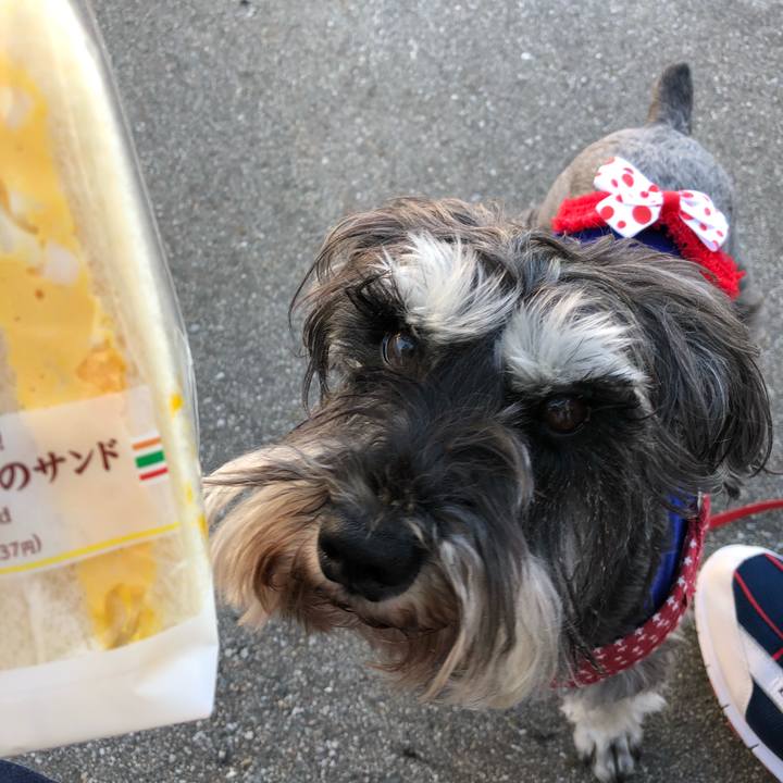 33d88ba8 f823 4c37 b457 d0cff2824bc0 1558743882663