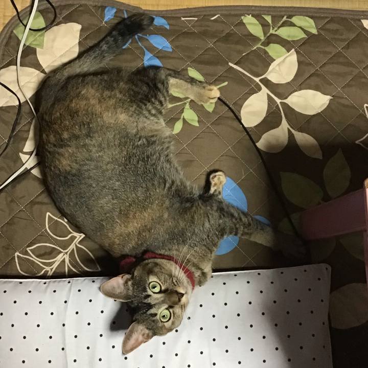 33d89bf8 7438 4e24 9f1b 63a03b060736 1602154779257