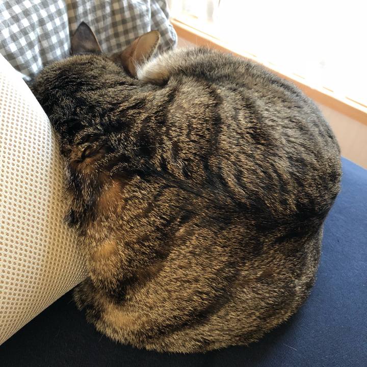 33d8a6fd 73b7 4b8c 9fae 572219c9ecea 1518915357257