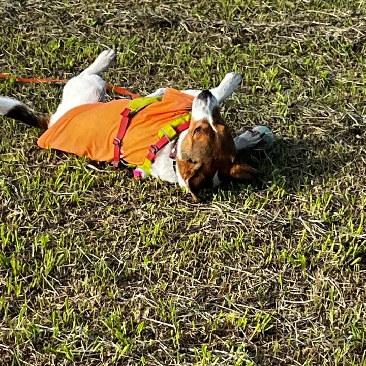 33d8aa7f 35da 4550 ba4f 6cc47543c8e0 1750492892443