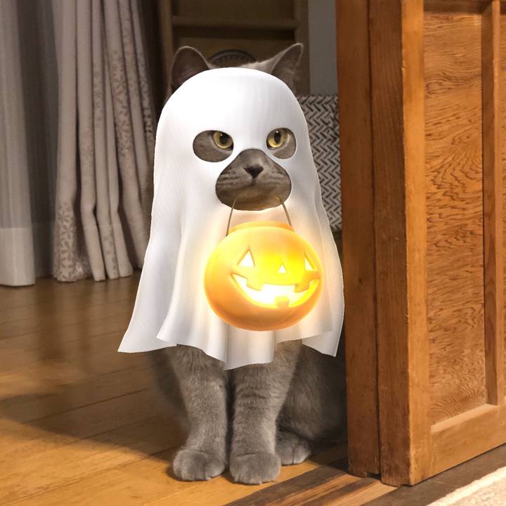 33d8b32e e2a6 427f a26f 85983b2b76e0 1572481895599