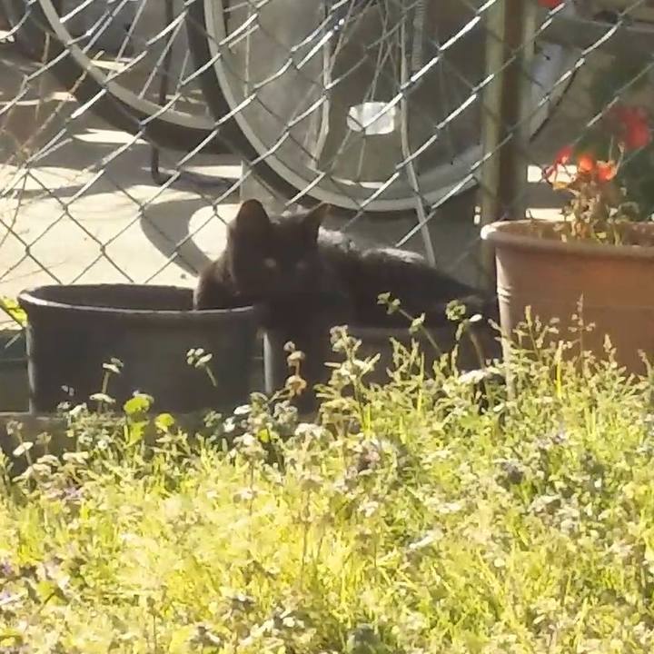 33d8c543 567f 460b af5e 22b979fb5809 1547442191866