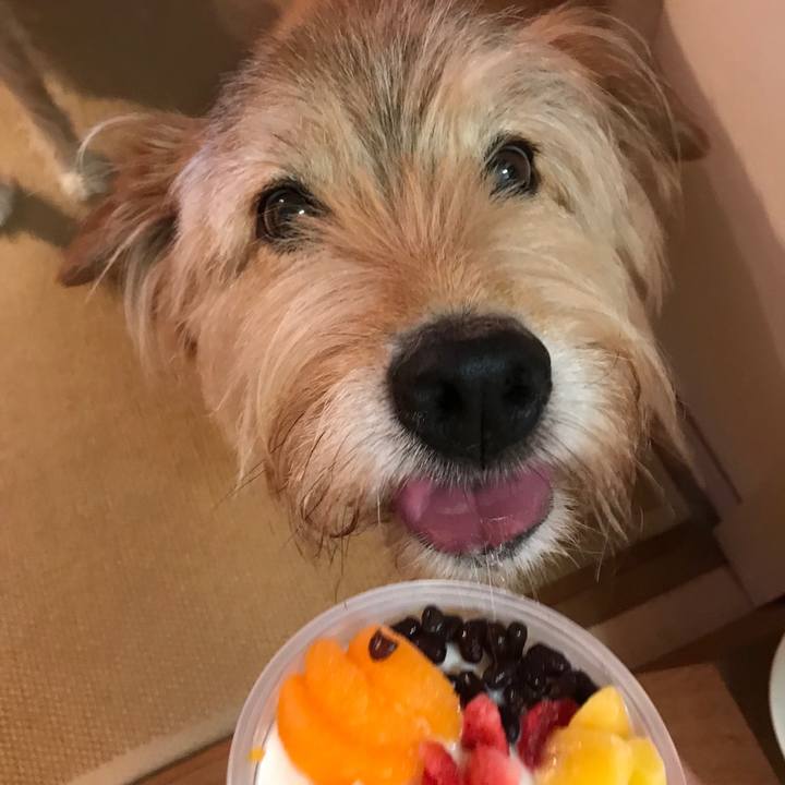 33d90f8b 2202 4c92 a486 fe4d83ea9f47 1531063413984