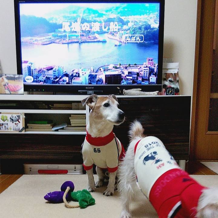 33d914b1 8f98 4d37 b71c af9f17c118b2 1582149660935