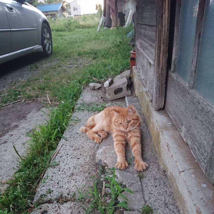 33d9225e 320f 4c46 9721 b143fa15b236 1656585442476