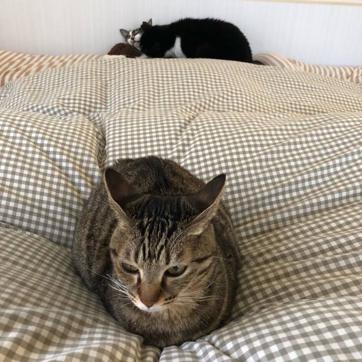 33d939a0 6c88 4674 8622 d5a0463cf502 1608982528902