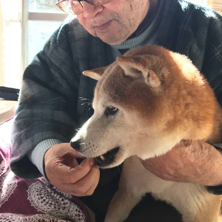 33d94fae f251 4376 82db 3752f08990c6 1518600164711