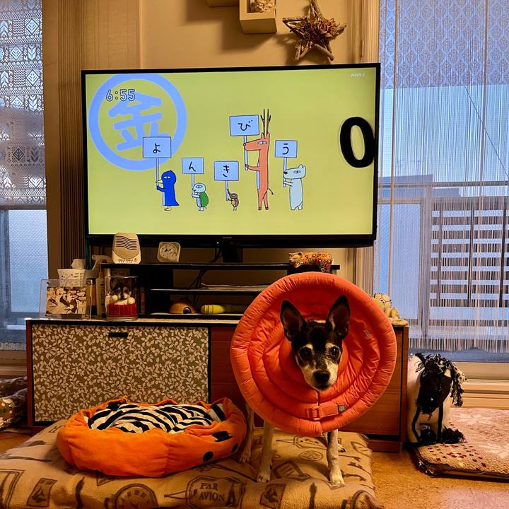 33d9647d dfc9 4eac 8007 04c8a9dcdfc5 1640297074850