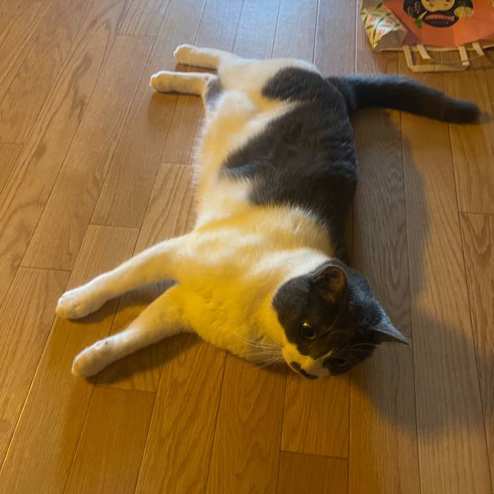 33d9f2c9 f1e8 42be b2d1 e54c9fce7d58 1755302246777