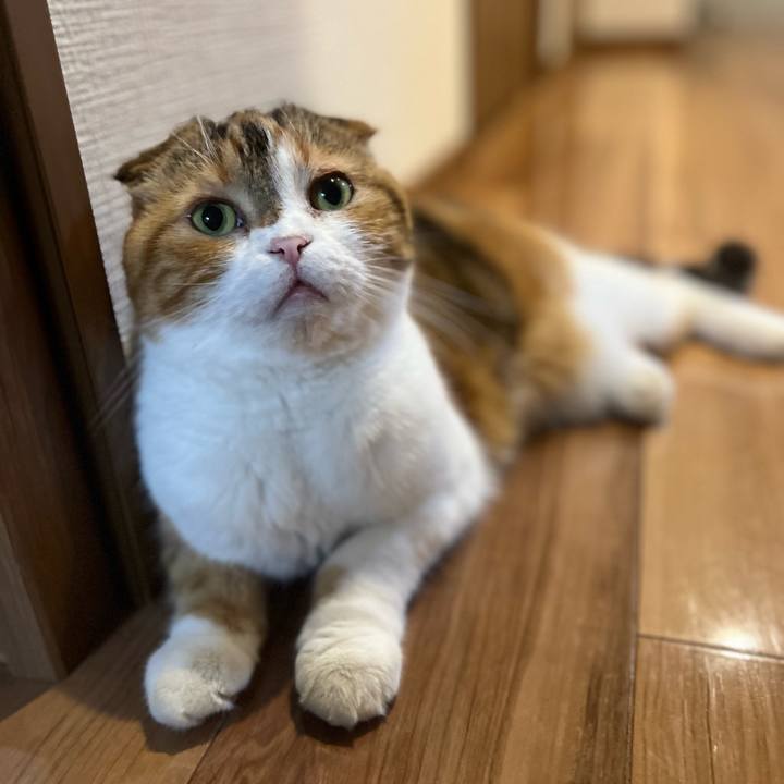 33d9f4e1 3ab3 493a 9028 94b0ecc8e3d2 1723987988771