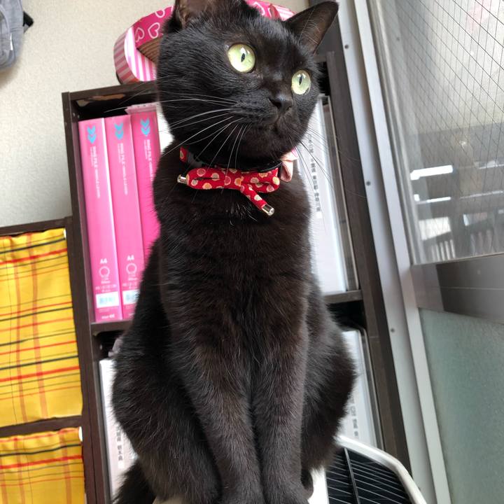 33d9ff49 2f2f 48b1 a744 ec1341089e14 1630449039149