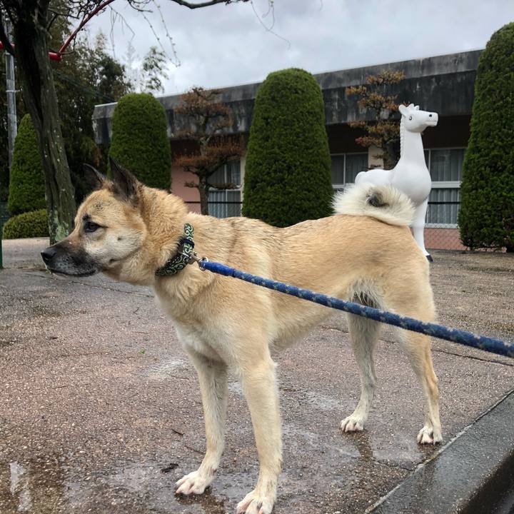 33da67fb 2cb0 40e1 b994 37a70ef27526 1586692379125