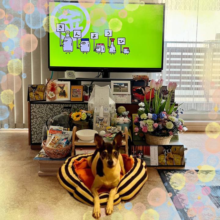 33da6fef 120c 41f7 a980 0bae0d59076a 1677794845927