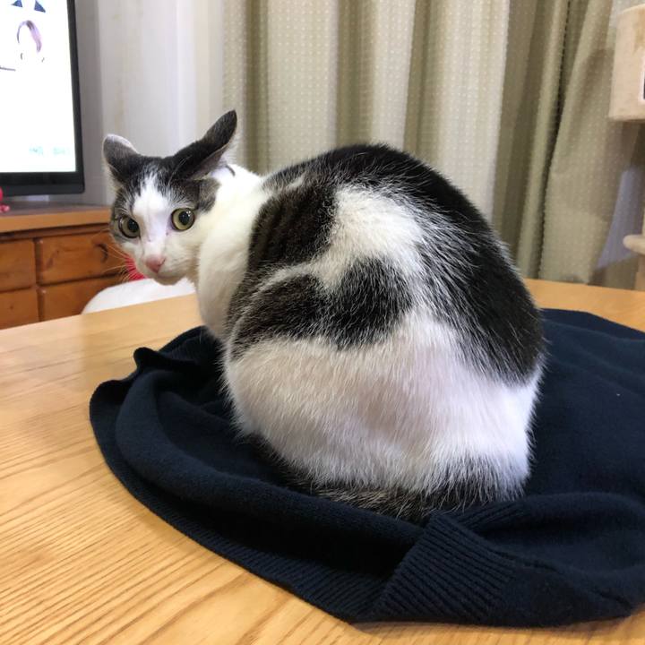 33daa921 c241 47fd b187 b7841c4b7ad2 1682336884874