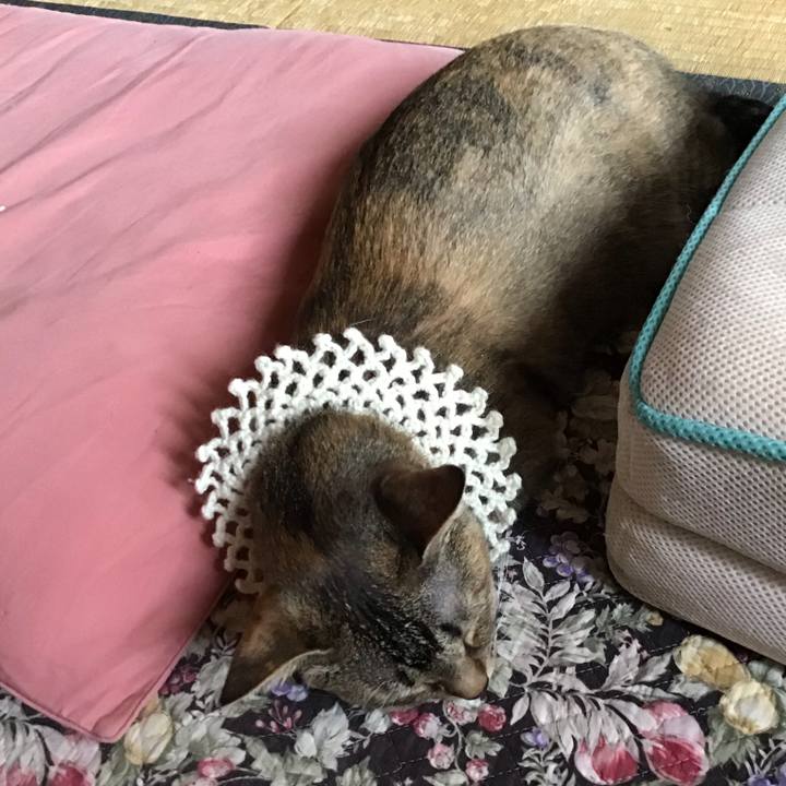 33daab23 389f 47e8 bf95 5ccd80c29d1a 1590905253176