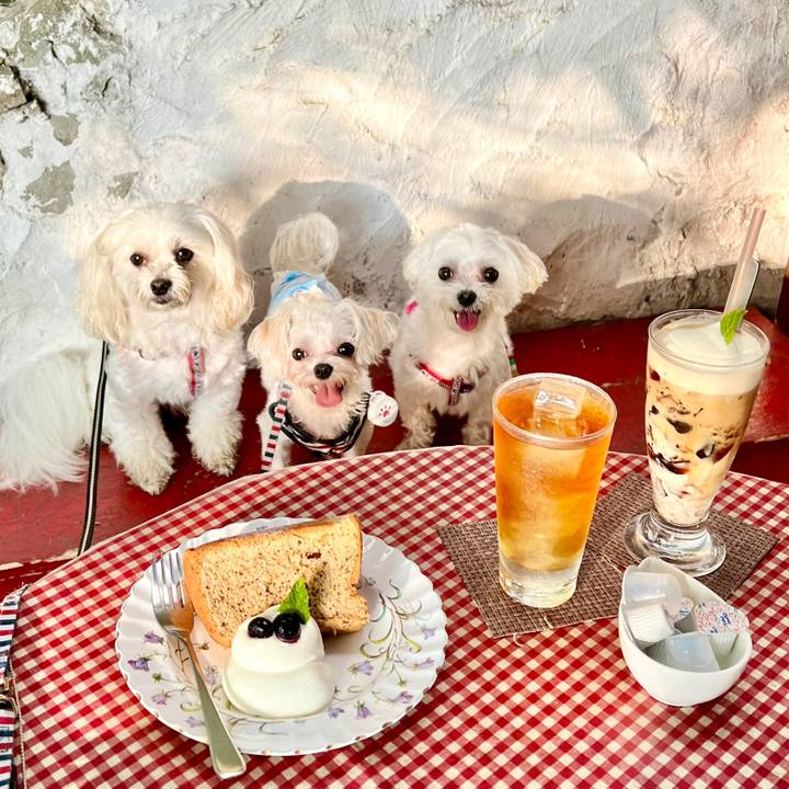 33daadf3 ff0a 43a2 99eb 604533256383 1655362671899