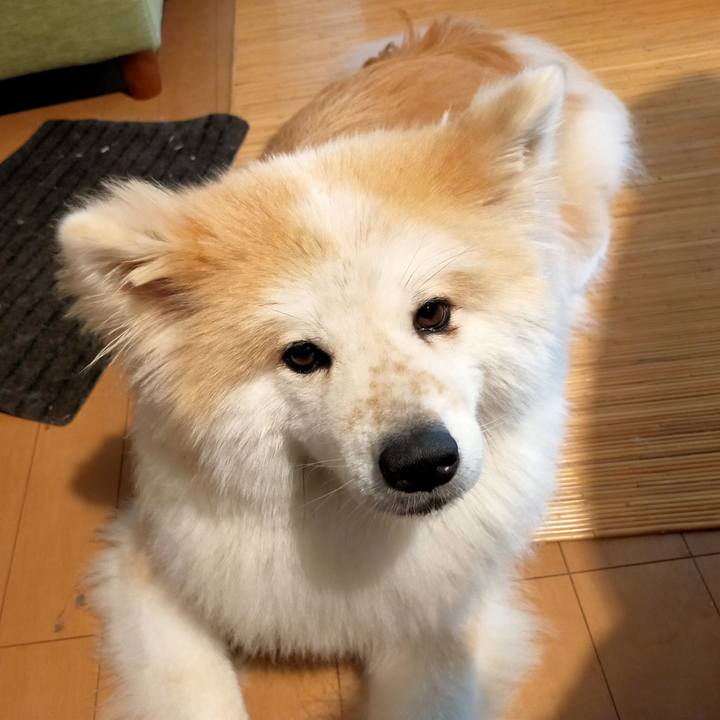 33dac800 d452 4caa bca0 612ad9a2e407 1628344772015