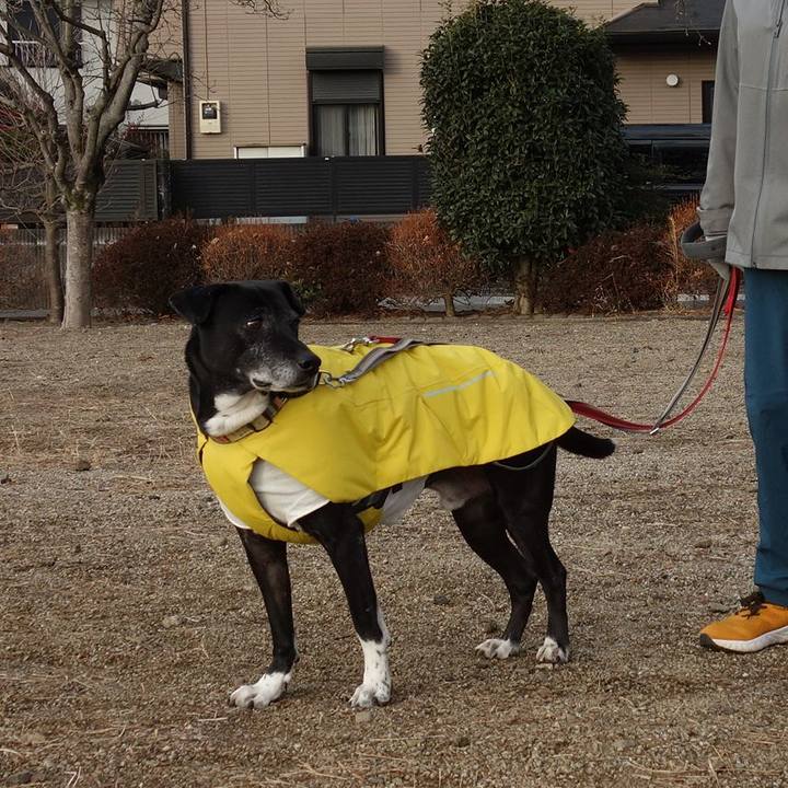 33dadee4 df6c 4248 bbd4 226d37844f5b 1737936362711