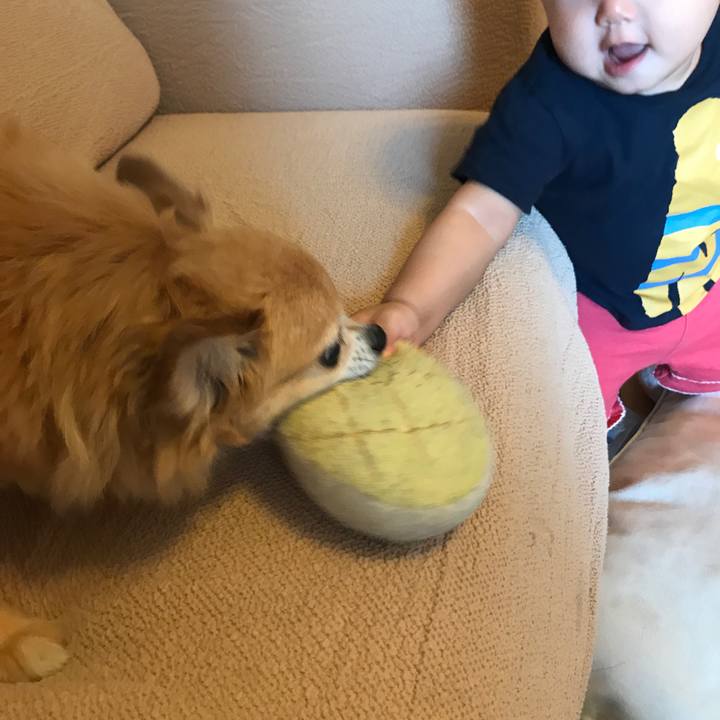 33db0e69 4883 4499 8642 42de7be8822d 1535583641534