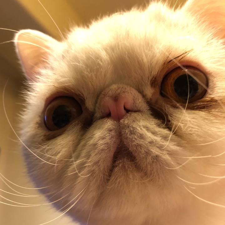 33db35ab d70c 4c66 9313 c5c76538b0fc 1608814188380