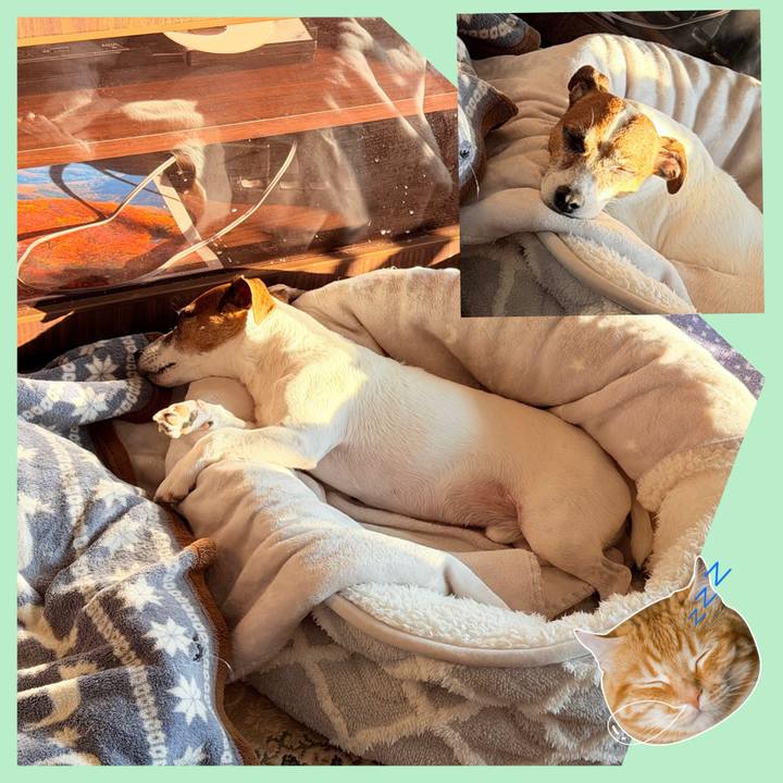 33dbc672 c3c2 4422 8ee0 13926afe6af9 1766883787854