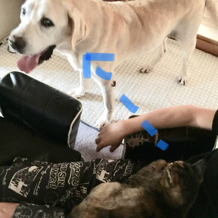 33dbd64b 77b7 4c4b a591 11d1a7977a05 1535860443675