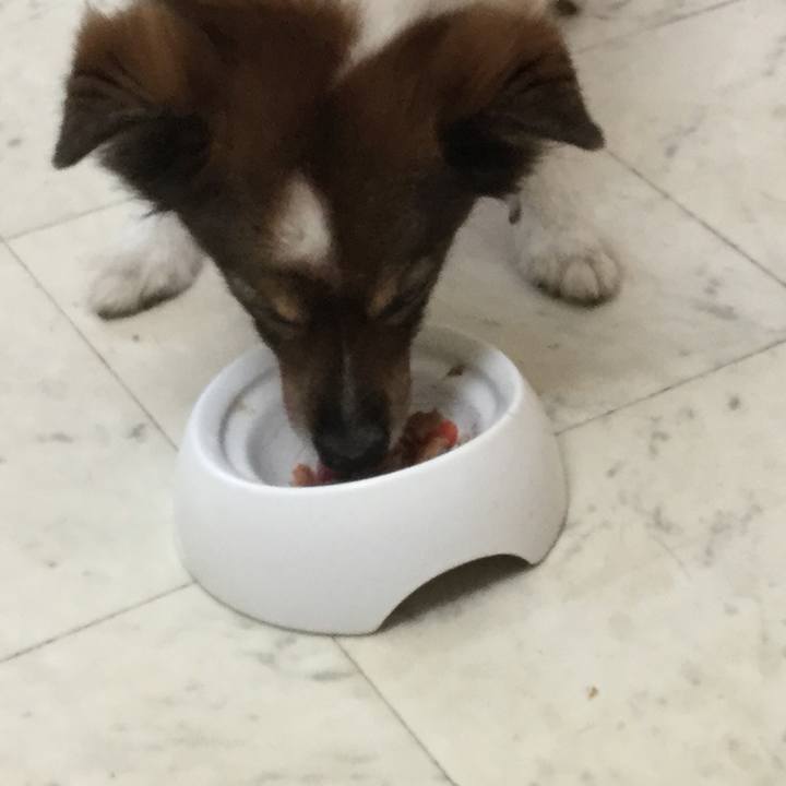 33dc105b b9e1 4931 af63 74f4c8c38241 1568603340931