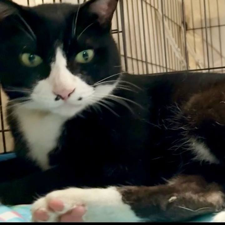 33dc4f8a 3f71 436a b0a1 b340b28194a6 1752658575986